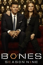 Watch Bones: Season 9 Online