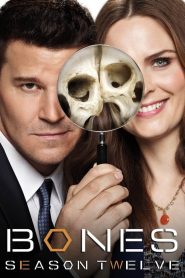 Watch Bones: Season 12 Online