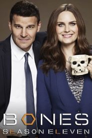 Watch Bones: Season 11 Online